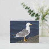 Gele meeuw briefkaart (Staand voorkant)
