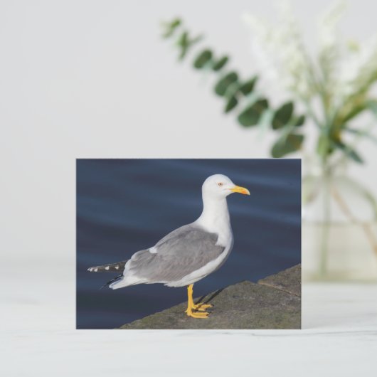 Gele meeuw briefkaart (Staand voorkant)