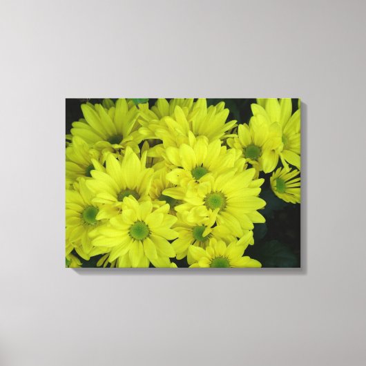 gele melkbloemen canvas afdruk (Voorkant)