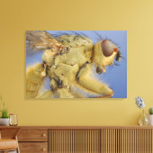 Gele mestvlieg canvas afdruk (Insitu (Woonkamer))