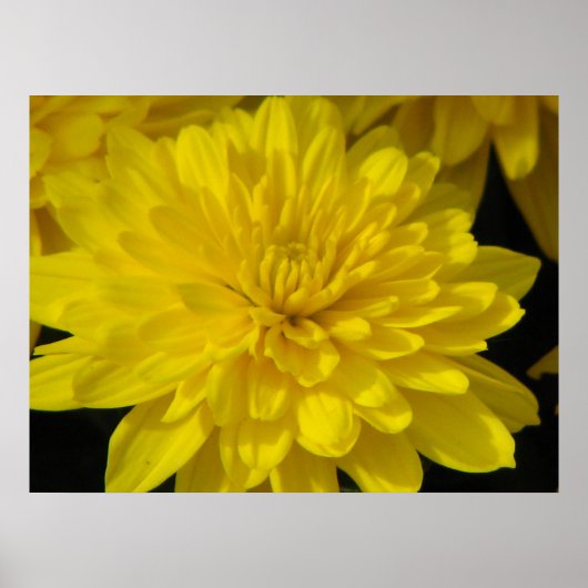 Gele Moeder Poster (Voorkant)