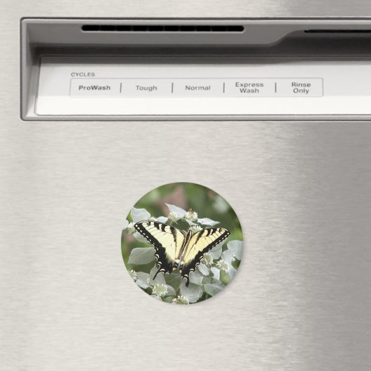 Gele moerasmug magneet (Insitu (Vaatwasser))