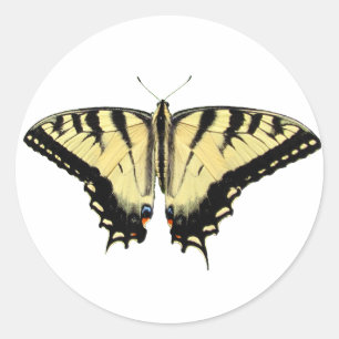 Gele moerstaart ~ sticker