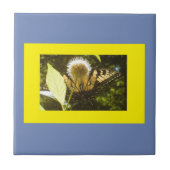 Gele monarch Blue Fed Ceramic Tile Tegeltje (Voorkant)