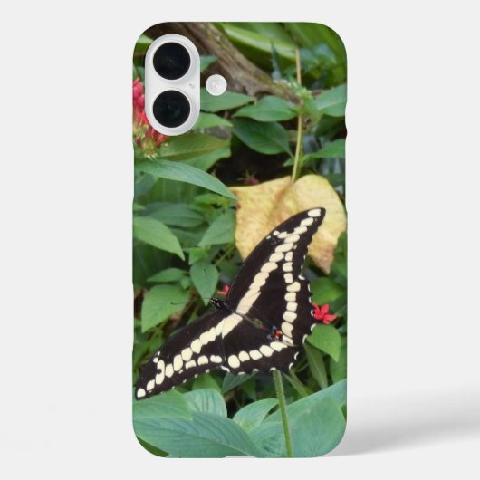 Gele Monarch en bloemen in Florida Case-Mate iPhone Case (Achterkant)