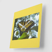 Gele monarch vierkante klok (Hoek)