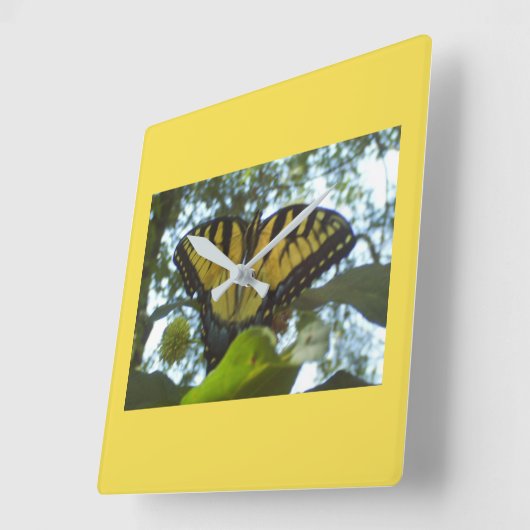 Gele monarch vierkante klok (Hoek)