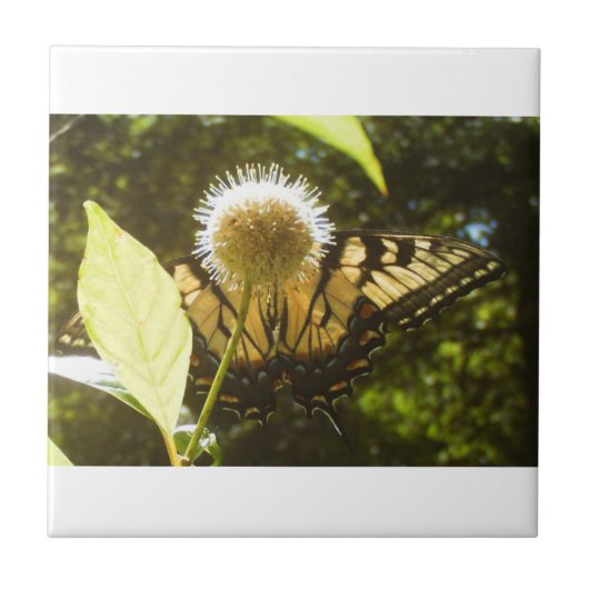 Gele monboogkeramische Tegel Tegeltje (Voorkant)