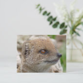 Gele mongose briefkaart (Staand voorkant)