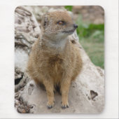 Gele mongose muismat (Voorkant)