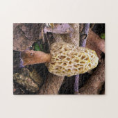 Gele Morel Paddenstoel Legpuzzel (Horizontaal)