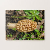 Gele Morelzwam Legpuzzel (Horizontaal)