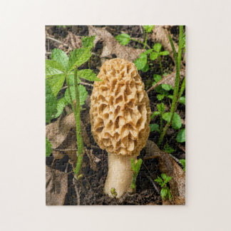Gele Morelzwam Legpuzzel
