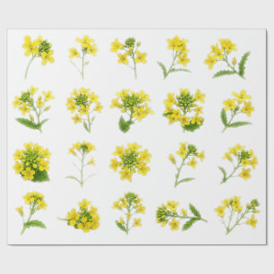 Gele mosterdbloem Botanische Set Koolzaadbloesem Cadeaupapier
