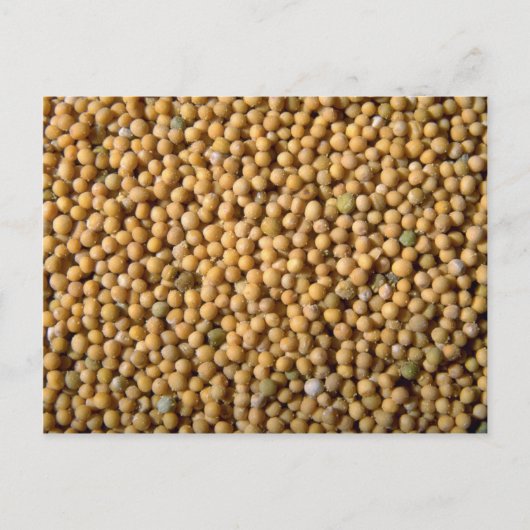 Gele mosterdzaden briefkaart (Voorkant)