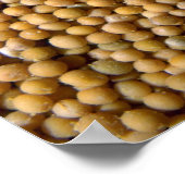 Gele mosterdzaden poster (Hoek)