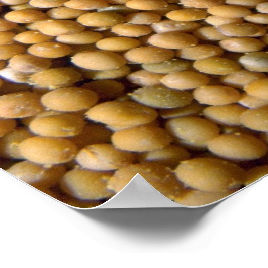 Gele mosterdzaden poster (Hoek)