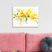 Gele Moth Orchidee in Zonneschijn Canvas Afdruk (Insitu (Woonkamer))