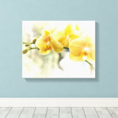 Gele Moth Orchidee in Zonneschijn Canvas Afdruk (Insitu (Houten vloer))