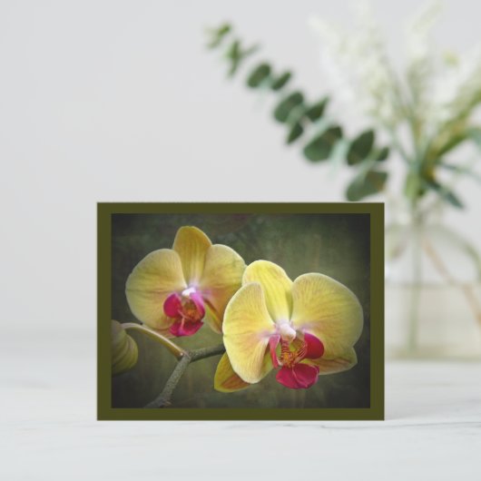 Gele moth Orchids - Phalaenopsis Briefkaart (Staand voorkant)