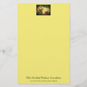 Gele moth Orchids - Phalaenopsis Briefpapier