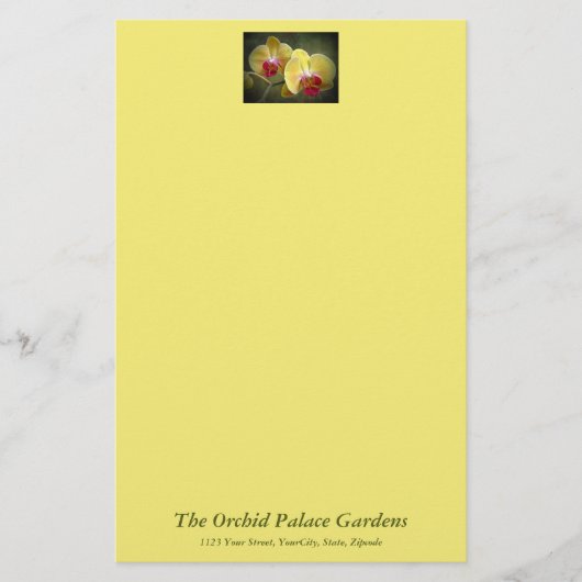 Gele moth Orchids - Phalaenopsis Briefpapier (Voorkant)
