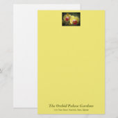 Gele moth Orchids - Phalaenopsis Briefpapier (Voorkant / Achterkant)