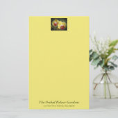 Gele moth Orchids - Phalaenopsis Briefpapier (Staand voorkant)