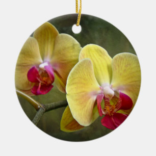 Gele moth Orchids - Phalaenopsis Keramisch Ornament