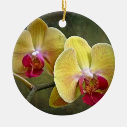 Gele moth Orchids - Phalaenopsis Keramisch Ornament (Voorkant)
