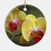 Gele moth Orchids - Phalaenopsis Keramisch Ornament (Achterkant)