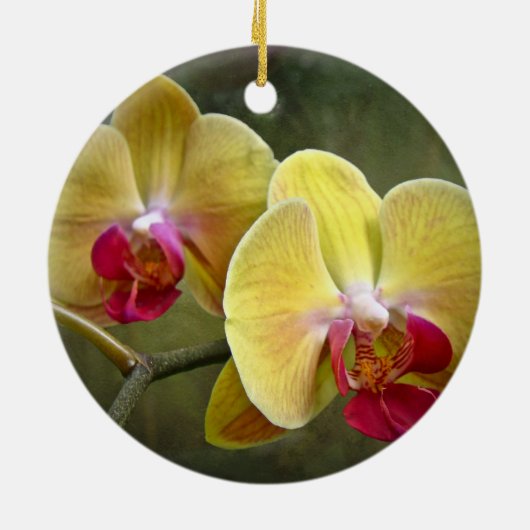 Gele moth Orchids - Phalaenopsis Keramisch Ornament (Achterkant)