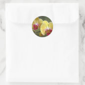 Gele moth Orchids - Phalaenopsis Ronde Sticker (Tas)