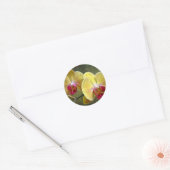 Gele moth Orchids - Phalaenopsis Ronde Sticker (Envelop)