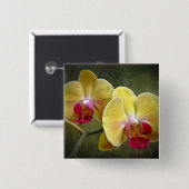 Gele moth Orchids - Phalaenopsis Vierkante Button 5,1 Cm (Voorkant /achterkant)