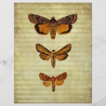 Gele moths & Stripes Scrapbook Paper