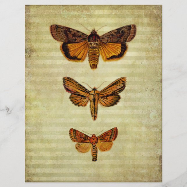 Gele moths & Stripes Scrapbook Paper (Voorkant)