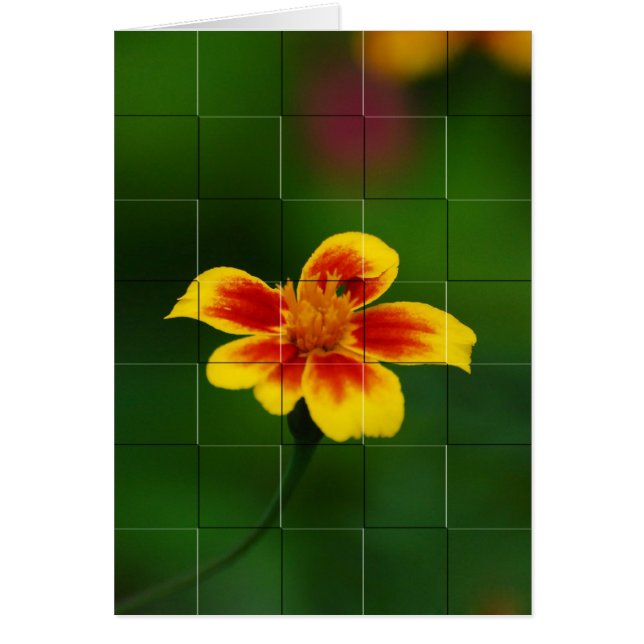 Gele mozaïek (Voorkant)