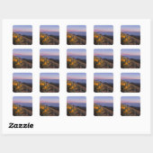 Gele Mules Ear Flowers op Sunset Vierkante Sticker (Vel)