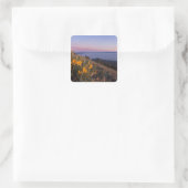 Gele Mules Ear Flowers op Sunset Vierkante Sticker (Tas)