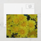 Gele Mums Briefkaart (Voorkant / Achterkant)