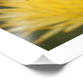 Gele Mums Foto Afdruk (Hoek)