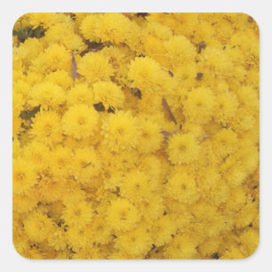 "Gele Mums" sticker