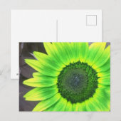 Gele N Groene Zonnebloem Briefkaart (Voorkant / Achterkant)