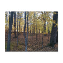 Gele najaarsBriefkaart