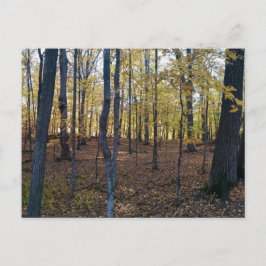 Gele najaarsBriefkaart Briefkaart