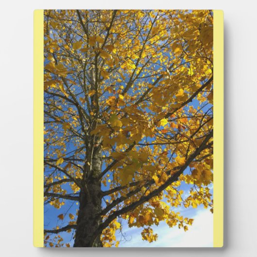 Gele najaarstructuur fotoplaat (Voorkant)