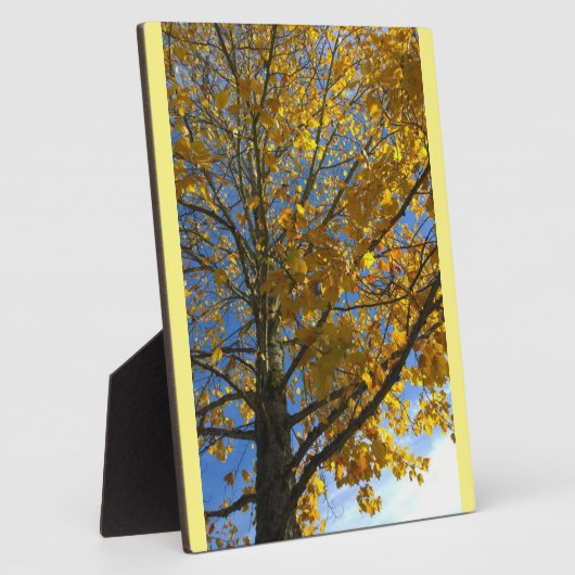 Gele najaarstructuur fotoplaat (Zijkant)