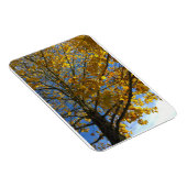 Gele najaarstructuur magneet (Rechterzijde)