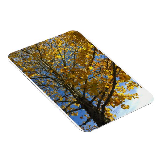 Gele najaarstructuur magneet (Rechterzijde)